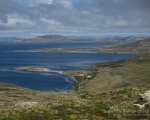 Überblick über das Settlement - die zweite Landzunge gehört noch zu New Island, danach beginnt schon Beaver Island