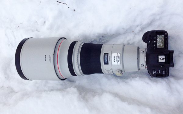 Canon 400mm 2.8 L IS II USM – Der lange Weg zum perfekten Tele